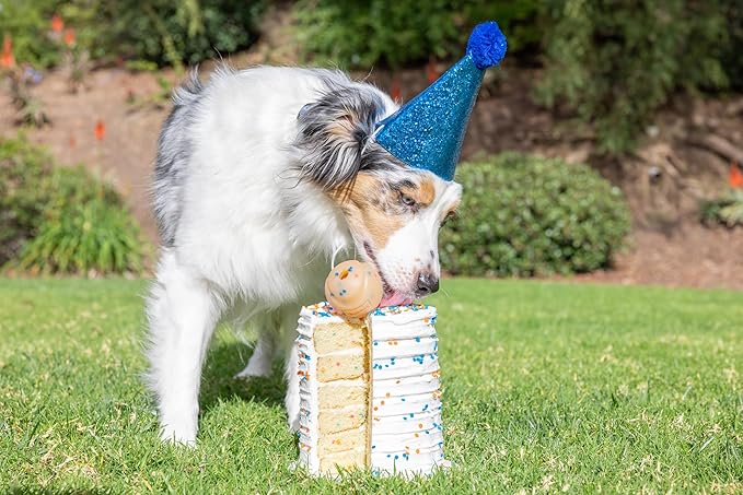 Chuckit! Birthday Fetch Ball, Medium (2.5 Inch Diameter), for Dogs 20-60 lbs, Pack of 1