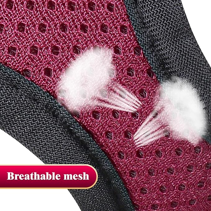 YIMEIS Dog Harness and Leash Set, No Pull Soft Mesh Pet Harness, Reflective Adjustable Puppy Vest for Small Medium Large Dogs, Cats (Grape Purple, Small (Pack of 1)