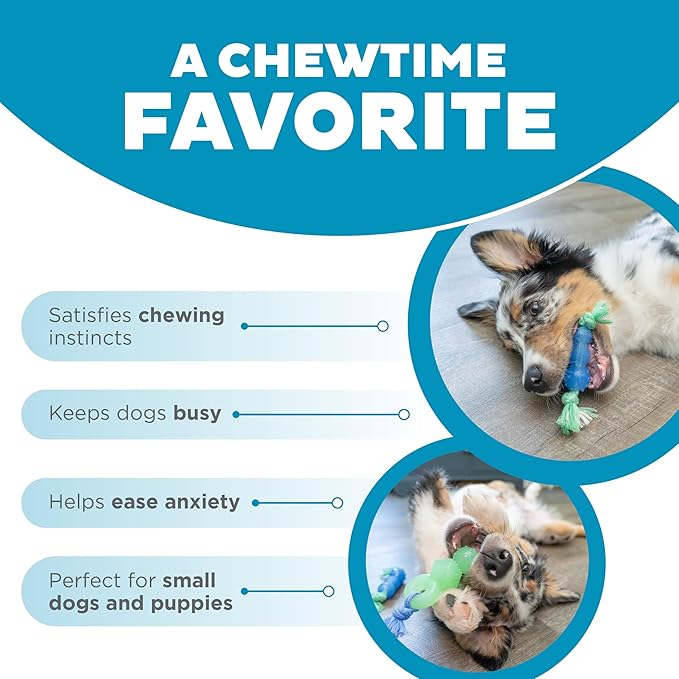 Mini Dentachew Pack Dental Chew Toy, Multi-Textured, Fetch & Tug Rope, Puppies & Small Dogs, 7", 3-Pack