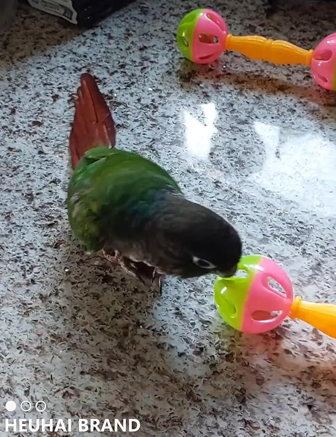 20-Pack Bird Toys for Parakeets, Budgies – Colorful Cage Accessories with Bells & Chewing Fun (1.6'' - 5.5'')