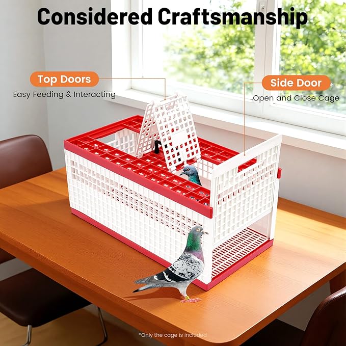 Plastic Foldable Pigeon Carrier Cage, Racing Pigeon Carrier Box with Handle 23.6"X12.2"X10.2" Portable Bird Travel Carriers Cage Bird Training Basket with 2 Side Doors and 2 Top Department