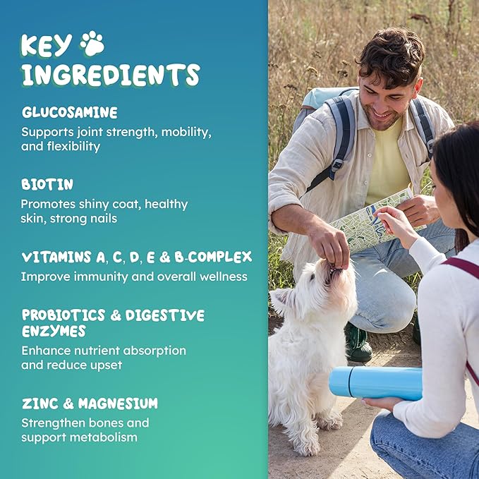Dog Multivitamin Chews – 25-in-1 Daily Complete Nutrition Soft Chews with Vitamins, Minerals, Probiotics, Salmon Oil & Digestive Enzymes for Overall Wellness