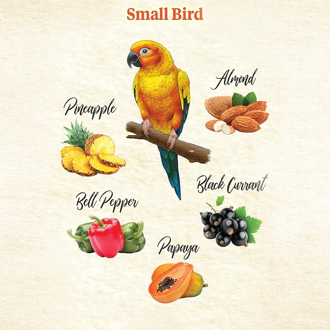 Kaytee Food from The Wild Natural Pet Bird Snack Food Treats for Parakeets, Cockatiels, Lovebirds, and Small Conures, 3 oz (Pack of 2)