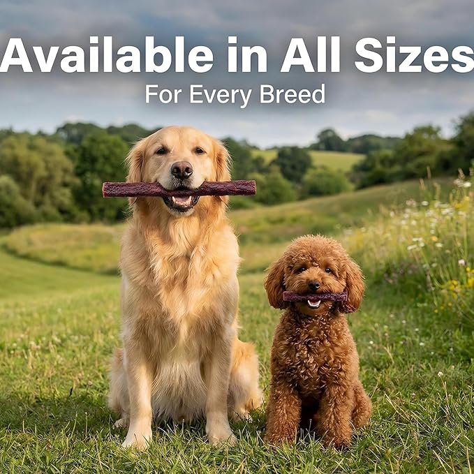 Dog Beef Sticks - Jerky Treats for All Dogs - High Protein & Grain Free Dog Snacks - Made with Real Beef, Chicken Liver & Beef Liver - Delicious Training Rewards & Daily Chews - 10 oz