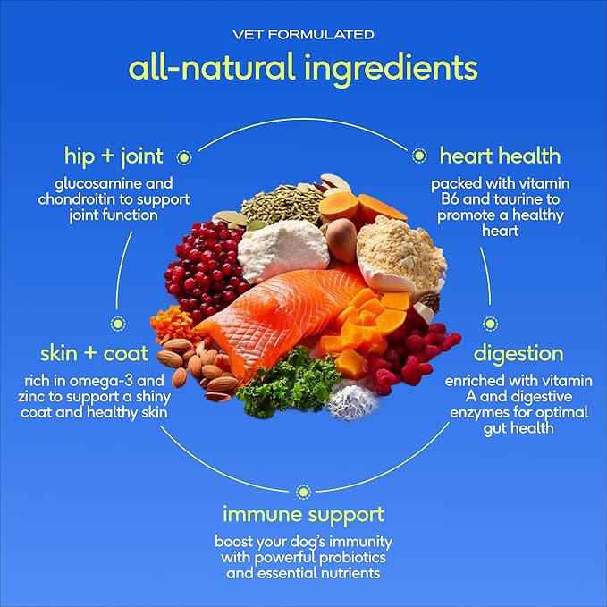 Native Pet The Daily Dog Vitamins & Supplements - 11-in-1 Multivitamin Powder for Dogs - Supports Whole Body Health, Digestion, Mobility & Immunity with Collagen, Glucosamine & Probiotics – 60 Scoops