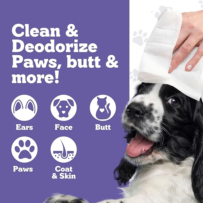Pets XL Lavender Vanilla Pet Wipes-Deodorizing No Bath Cleaning for Dogs & Puppy Grooming | Ear, Face, Butt, Paw Wet Wipe | Enriched w/Aloe, Chamomile, Oat Amino Acids | Healthier Coat & Skin