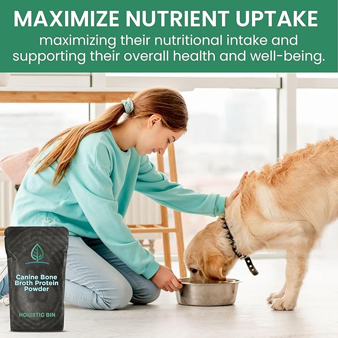 Holistic Bin Canine Beef Bone Broth Protein Powder Dog Food Toppers | Daily Supplement Powder with Bone Broth, Spirulina Nib & Beetroot | Glossy Coat, Joints & Overall Wellness | Beef Blend (50g)