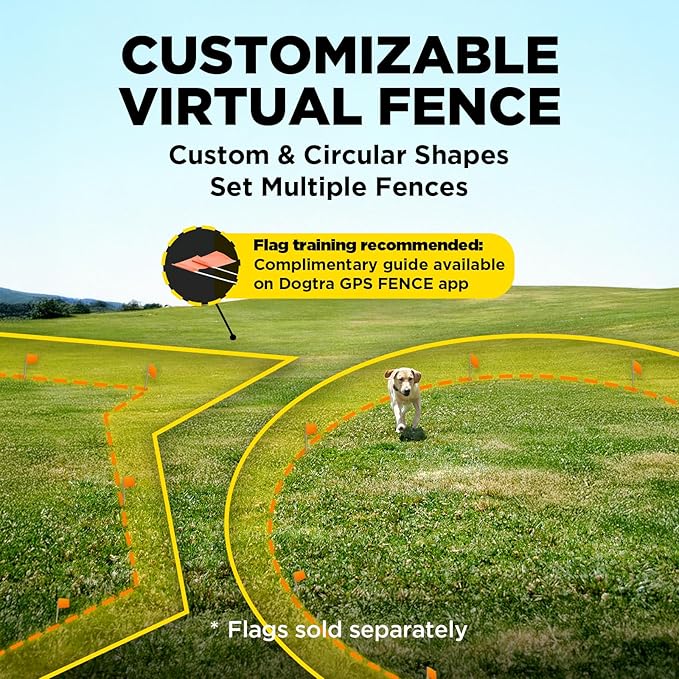Dogtra Training Flags for GPS Fence/Smart Fence – 50-Pack Neon Orange Boundary Markers – Flexible, Weather-Resistant Yard Flags for Wireless Fence Training, Pet Containment, Safe Outdoor Setup