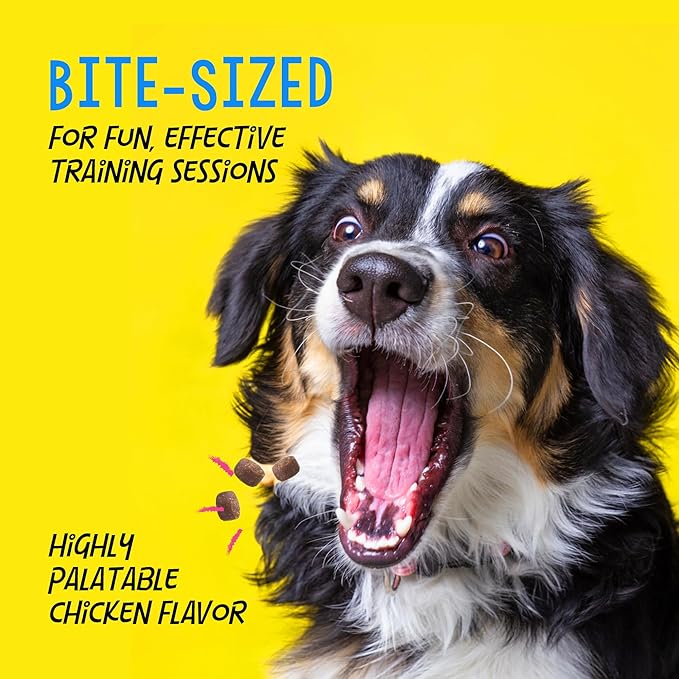 Crazy Dog Mini Train-Me! Training Treats 10 oz. Bag, Chicken Flavor, with 500 Treats per Bag, Recommended by Dog Trainers