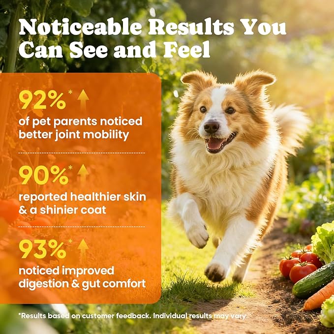 Dog Vitamins & Supplements 34-in-1 Pet Multivitamin Softchews, Daily Dog Supplements for Hip & Joints, Skin & Coat, Immune Health with Glucosamine, Probiotics, Collagen & Fish Oil (90-Day Supply)