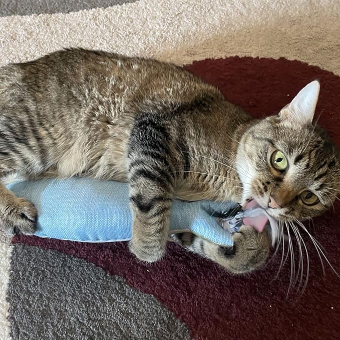 Huxley & Kent Kicker Cat Toy | Sardine | Large Strong Catnip Filled Crinkle Cat Toy | Plush and Burlap Toy Promotes Natural Hunting Instinct | Kittybelles