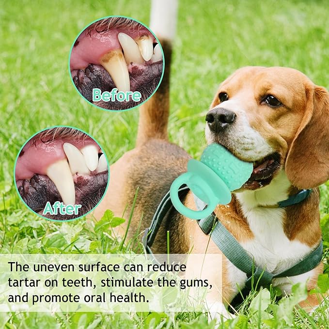Pacifier Squeaky Dog Toys, Durable Natural Rubber Latex Dog Toy, Fetch and Tug Dog Toy, Dog Treat Toys for Boredom (Green)