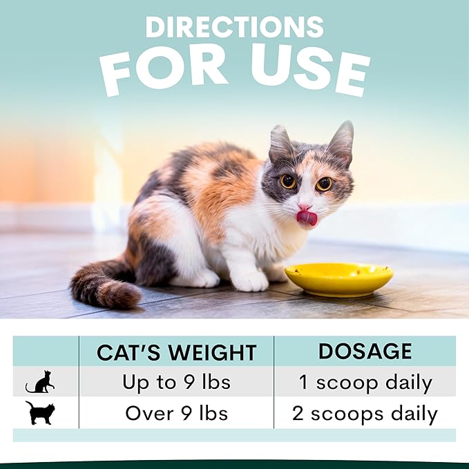 Urinary and Kidney Powder Supplement for Cats - Cranberry, Nettle Seed, D-Mannose for Cat UTI Treatment, Urinary Tract Health, and Kidney Care - Fast UTI Relief & Prevention - 60 Scoops