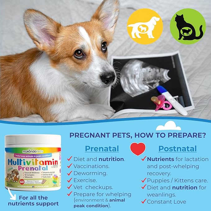 Dog Prenatal Vitamins – Multivitamin for Cats & Dogs, Folic Acid, Calcium, Iron, Minerals and Amino Acids. Ideal for Pregnant, Breastfeeding and Newborn – Senior Dog Supplement, Puppy Multi Vitamin.