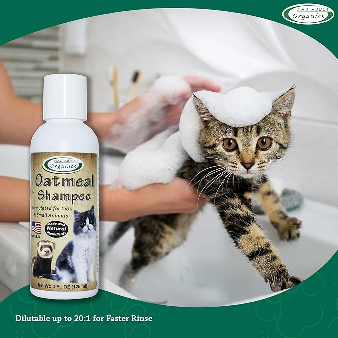 Oatmeal Shampoo for Cats & Small Pets – Gentle, Balanced Formula for Skin & Coat Health – Comforts Dry Skin Care for Small Pets 4 Weeks & Up, Including Pregnant Pets – 4 oz
