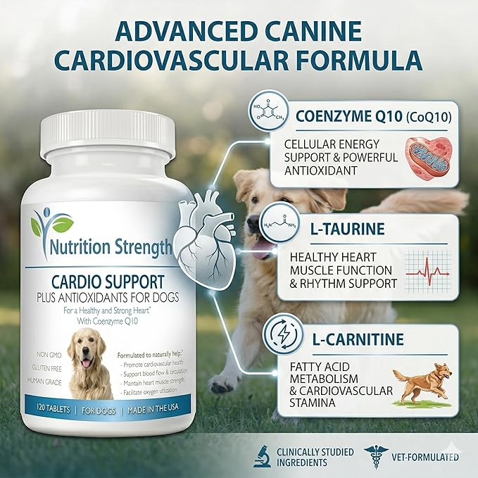Cardio Support for Dogs Plus Antioxidant, L-Carnitine, L-Taurine, with Coenzyme Q10 and Vitamin E, Promotes a Healthy and Strong Dog Heart, 120 Chewable Tablets