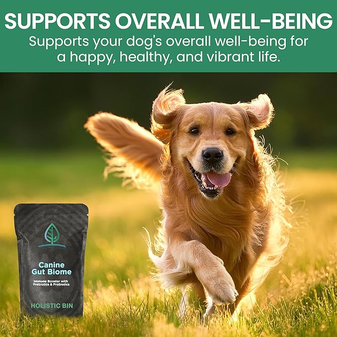 Holistic Bin Canine Gut Biome Blend | Nutrient-Rich Dog Food Toppers | Plant-Based Supplements for Pets Digestion | Probiotic & Prebiotics Canine Daily Overall Wellness Essentials | | Gut Biome (50g)