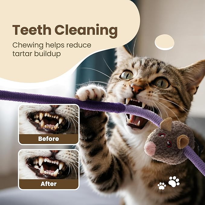 Cat Chew Ropes with Catnip Mouse, 3Pcs Cat Chew Toys for Large Cats Enrichment, 3-in-1 Catnip Toys Mouse & Strong Braided Ropes & Gall Fruits, Cats Teething Toys