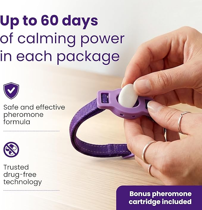 Breakaway Calming Collar for Cats - The Safest and Most Comfortable Pheromone System - Lasts Up to 60 Days - by Kitty Kompass