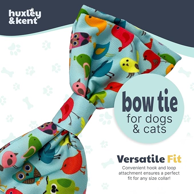 Huxley & Kent Pet Bow Tie for Dogs & Cats - Summer Theme Adjustable Hook & Loop Collar Accessory - Cute & Comfortable for Holidays & Celebrations - Yard Birds, Large