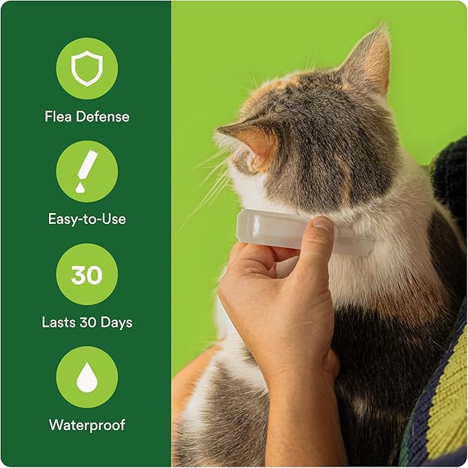 Advecta Plus Topical Large Cat Flea Treatment for Cats and Kittens, Flea Prevention and Control, Fast-Acting Waterproof Drops, 4-Month Supply