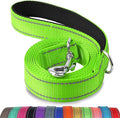 Joytale Dog Leash, 6 FT Double-Sided Reflective, Padded Handle Nylon Heavy Duty Leashes for Medium & Large Dogs Walking, Green