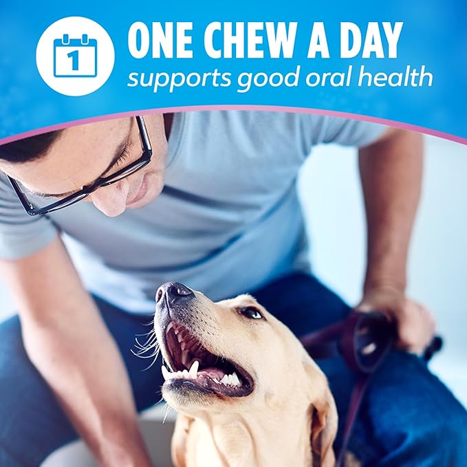 Dentalife Plus Digestive Support Dog Treats for Small and Medium Dogs, Cleans Teeth, Freshens Breath, & Supports Healthy Gut, Chicken & Pumpkin Flavor, 14.4 oz., 19 Chews - 19 ct. Pouch, (Pack of 2)