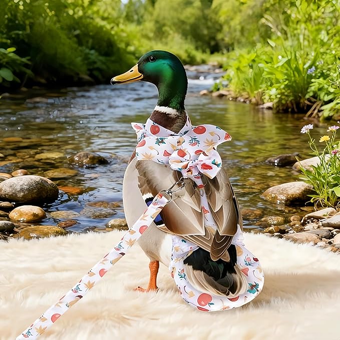 Chicken Diapers for Hens, Roosters, Diapers for Ducks with Walking Leash, Reusable Pet Duck Diapers Chick Clothes Waterproof Poultry Nappies for Geese Pet Ducks Chicken-Mushroom, M