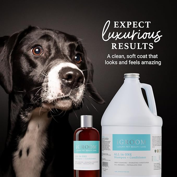 iGroom All-in-One Dog Shampoo + Conditioner, Luxury Pet Beauty Care, Deep Clean All Coat Types, Hydrate and Condition Coat, Made in the USA, 16 oz