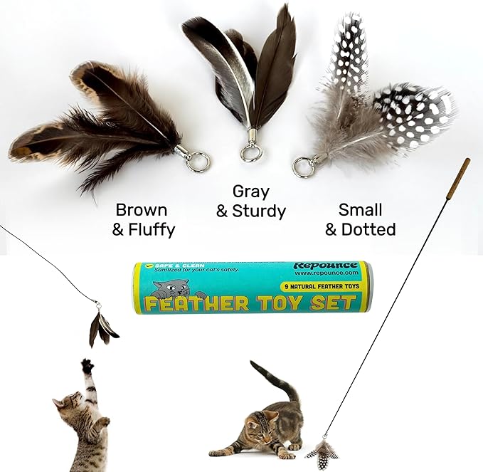 Feather Toys Replacements (9 Pc) - Cat Toys & Kitten Toys for Indoor Kittens, Set of Replacement Feather Attachments Extra Small and Durable, for Cat Wands, Natural and Safe