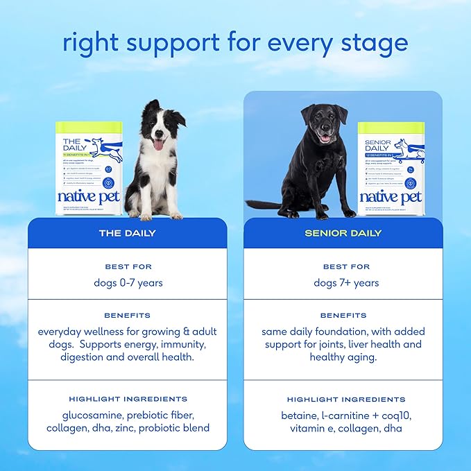 Native Pet Senior Daily Dog Vitamins & Supplements – 12-in-1 Dog Multivitamin Powder for Senior Dogs – Supports Mobility, Cognition, Digestion, Immune Health & More – 30 Scoops