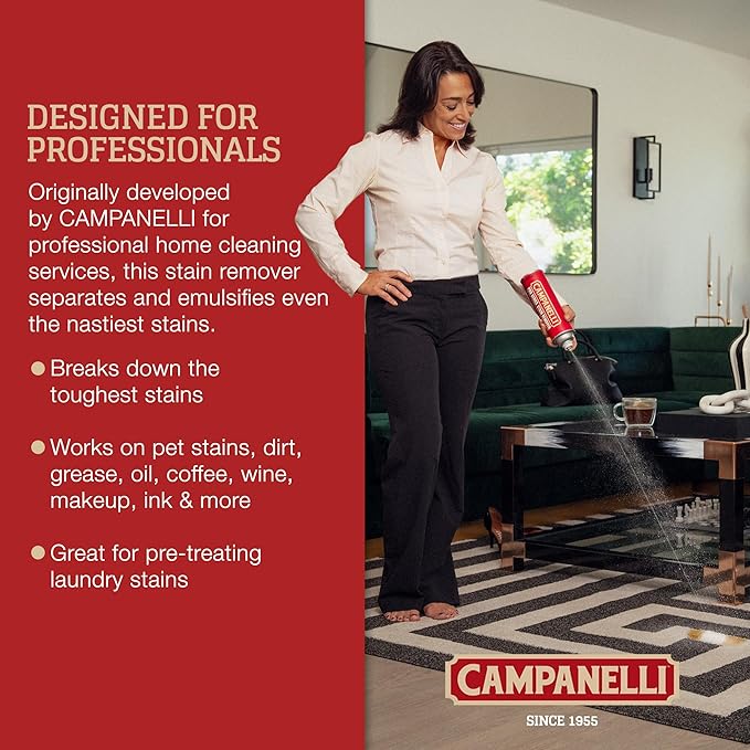 CAMPANELLI Pro Series Stain Remover Spray | Precision Point & Spray Carpet Cleaner for Pet Stains and Odors - Spot Remover for Carpets, Fabrics, Upholstery & Household Spills | 18oz Aerosol