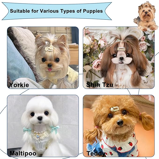 Gentle Grooming Puppy Brush with Gift Box ， Fit for Small Dog ， Yorkie, Shih Tzu, Maltipoo, Maltese and Pomeranian ，Toy Poodle Accessories, Soft Bristle (Gradient Color)