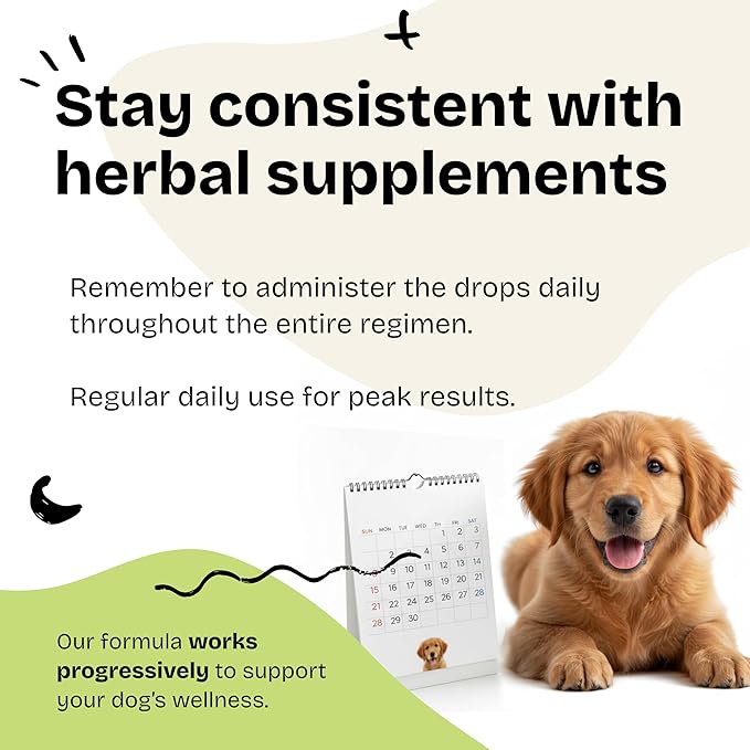 Forever Puppy Motherwort Drops for Dogs - Heart Support - Motherwort Herb Extract Supplement - Liquid Dog Vitamins and Supplements - Sugar & Alcohol-Free - 2 fl oz