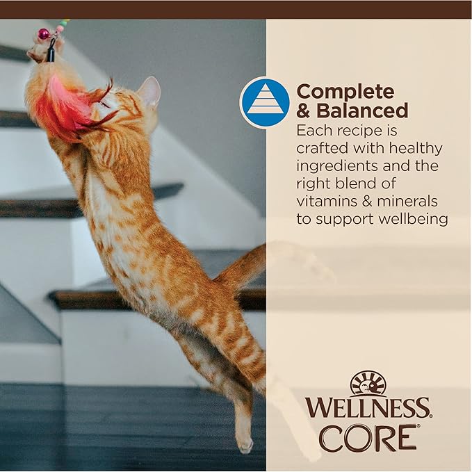 Wellness CORE Tiny Tasters Flaked Adult Wet Cat Food, Natural, Protein-Rich, Grain Free, 1.75-Ounce Pouch, 12 Pack, (Tuna & Shrimp)