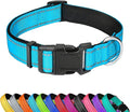 Reflective Dog Collar, Adjustable Soft Neoprene Padded Nylon Pet Collars with Buckle for Puppy and Small Dogs, Cats, Sky Blue,XS
