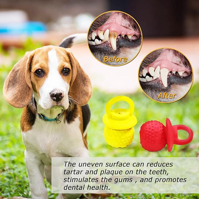 Latex Chew Dog Toys, Novelty Squeaky Pacifier Dog Toys for Teething Puppies, Mild Chewing Small, Medium, Large Dogs, Pet Dogs Supplies Newborn Puppy Gift