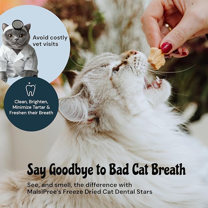 MalsiPree Cat Dental Treats, 32 Count - Freeze Dried Chicken Chews for Cats & Kittens - Fresh Breath & Tartar Control - Star Shape Snack for Cats - High Protein Healthy Snack, Low Calorie Pet Rewards