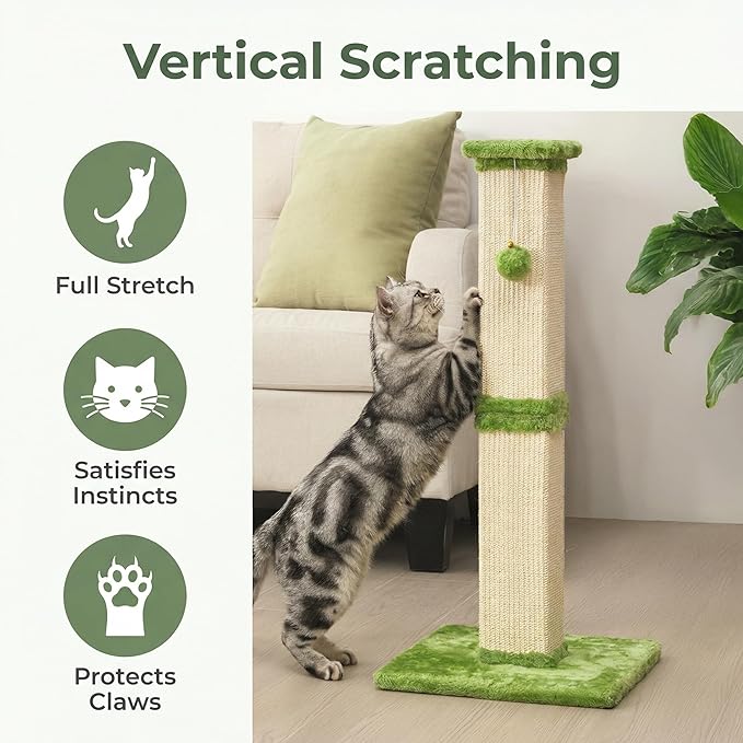 Indoor Cat Scratching Post: 32 In Tall Cat Scratcher with Natural Sisal Rope, Kitty Pet Tower with Sturdy Wood Base and Hanging Ball Toy, Great Gift for Small and Large kittens, LIght Green
