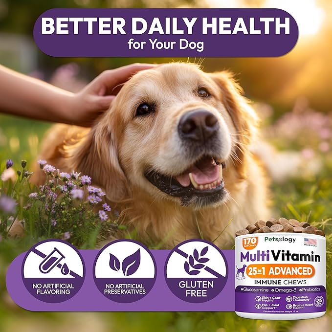 (2 Pack) Dog Multivitamin Chewable - 340 Chews - Dog Vitamins and Supplements with Glucosamine - Hip & Joint, Pet Immune Support, Gut & Heart Health - Senior & Puppy Multivitamin Pet Supplement