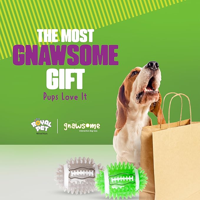 Gnawsome 4.5" Spiky Squeak & Light Football for Dogs - Durable, Rubber Bouncy Puppy Fetch & Chew Toy for Your Pet, Colors Will Vary for All Breed Sizes