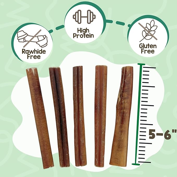 Nature Gnaws Large Bully Sticks for Dogs 5-6" (3 Count) - Thick Long Lasting for Aggressive Chewers and Large Dogs - Natural Beef Dog Chew Bones