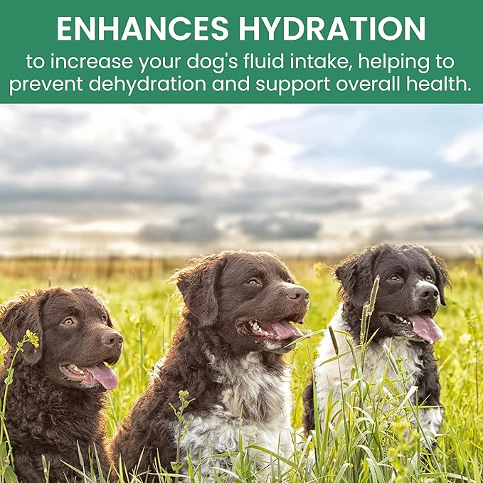 Holistic Bin Canine Gut Biome Blend | Nutrient-Rich Dog Food Toppers | Plant-Based Supplements for Pets Digestion | Probiotic & Prebiotics Canine Daily Overall Wellness Essentials | | Gut Biome (50g)