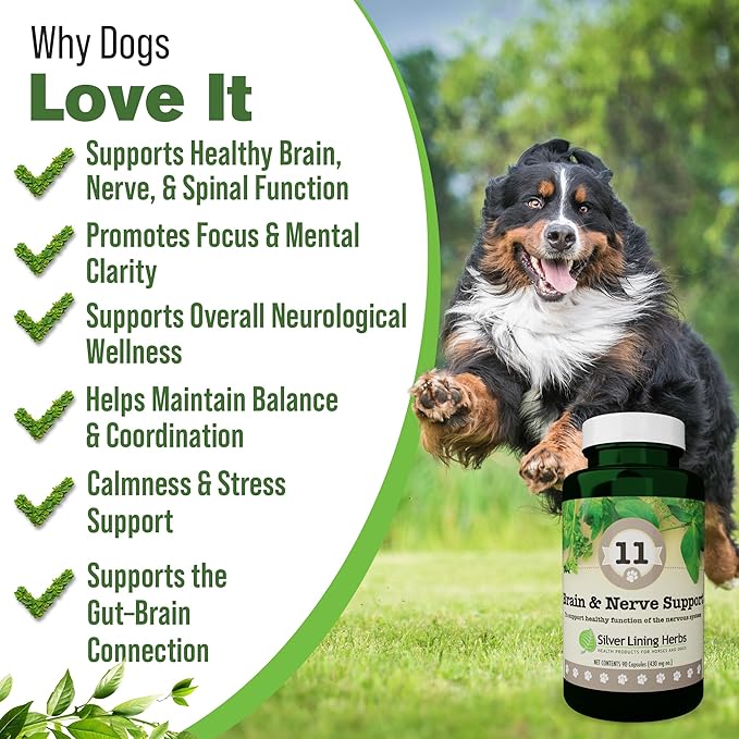 Silver Lining Herbs Brain Health & Dog Nerve Supplements - 11 Canine Herbal Supplement Helps Maintain Central Nervous System, Spinal Cord & Balanced Behavior - 90 Capsules