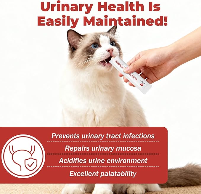 Cat UTI Treatment & Kidney Nutrition Supplement | Cranberry Powder for Cats | Low in Phosphorus & Salt | Supports Urinary Health | Easily Absorbed Protein | Suitable for Picky Cats - Bars 12g x 30