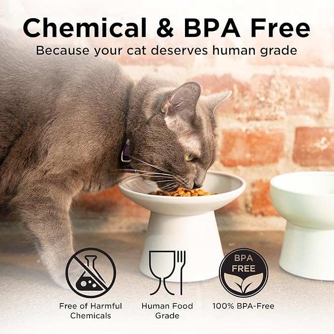 Necoichi 2pcs Extra-Wide Elevated Cat Food Bowls – BPA-Free Plastic Raised Bowls to Reduce Whisker & Neck Fatigue – Dishwasher Safe – Non-Slip, Anti-Vomiting Ergonomic Design(Classic)
