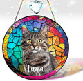 Personalized Pet Stained Glass Suncatcher Custom Name Pet Photo Ornament Window Hanging Home Decor Sympathy Gift for Loss of Pet Dog Cat Memorial Keepsake Remembrance Gift for Dog Lovers