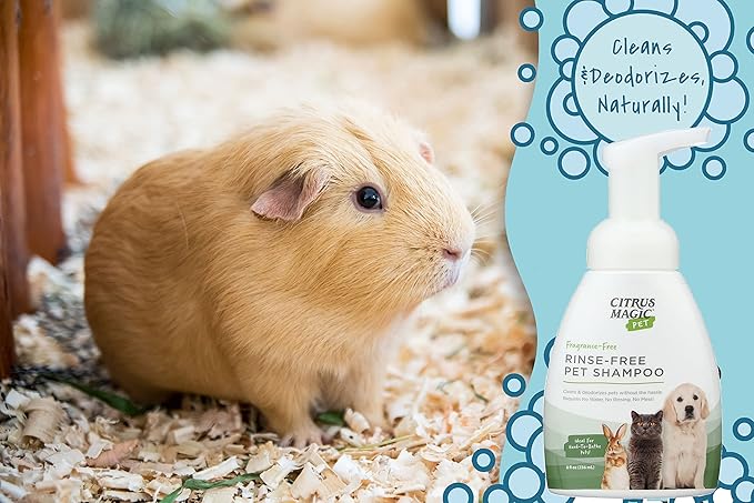Citrus Magic Pet Rinse-Free Pet Shampoo, 8-Fluid Ounce, Pack of 2