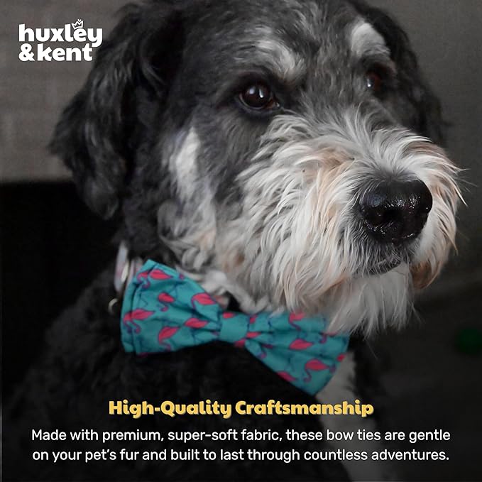Huxley & Kent Pet Bow Tie for Dogs & Cats - Adjustable Hook & Loop Collar Accessory - Cute & Comfortable for Holidays & Celebrations - Flamingo, Small