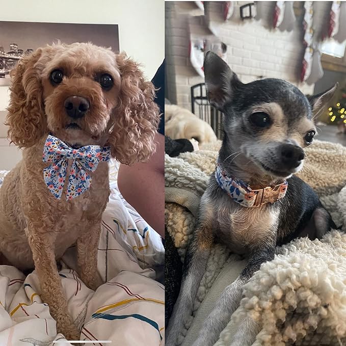 Unique style paws Dog Collar with Tie Adjustable Blue Bowtie Puppy Collars for Small Medium Large Dogs and Cats-XS